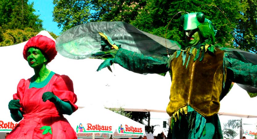 Metus vitae pharetra auctor